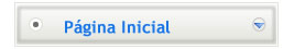 Pagina Inicial